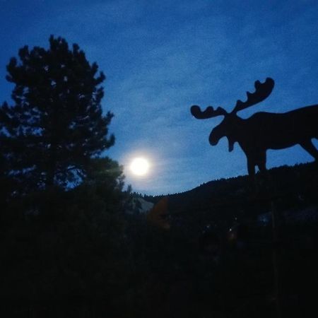 Alpine Moose Lodge Lake City Εξωτερικό φωτογραφία