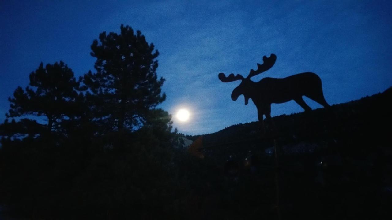 Alpine Moose Lodge Lake City Εξωτερικό φωτογραφία