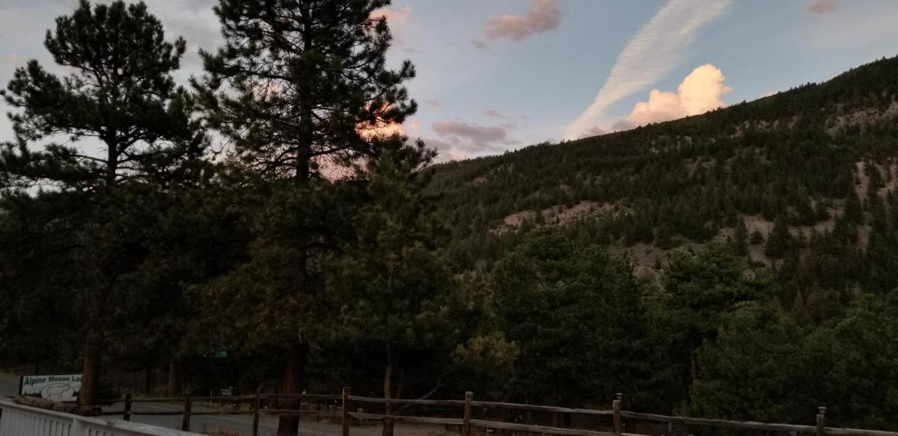 Alpine Moose Lodge Lake City Εξωτερικό φωτογραφία